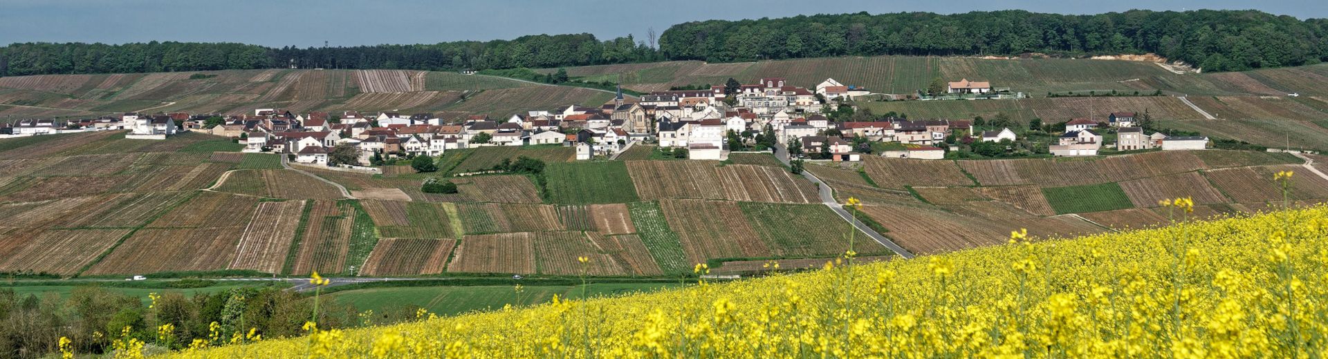 Monthelon