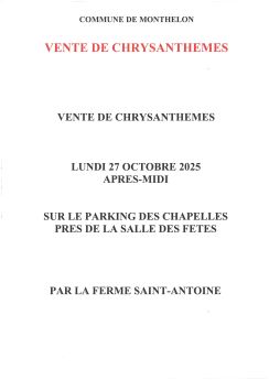 Vente de chrysanthèmes